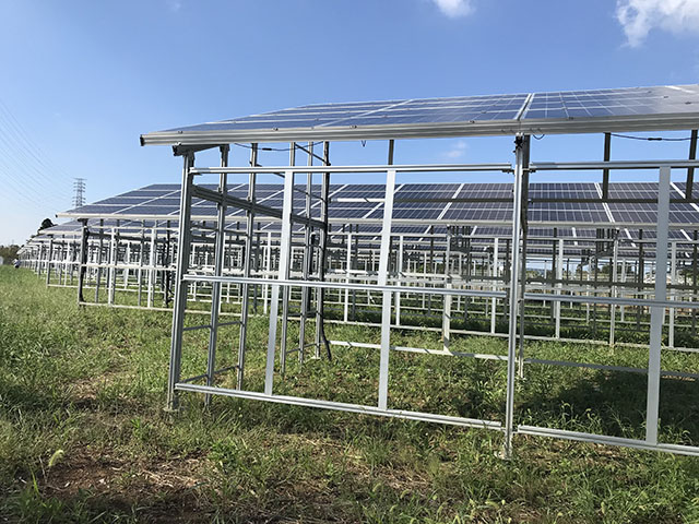Solar Mounting System For Farm