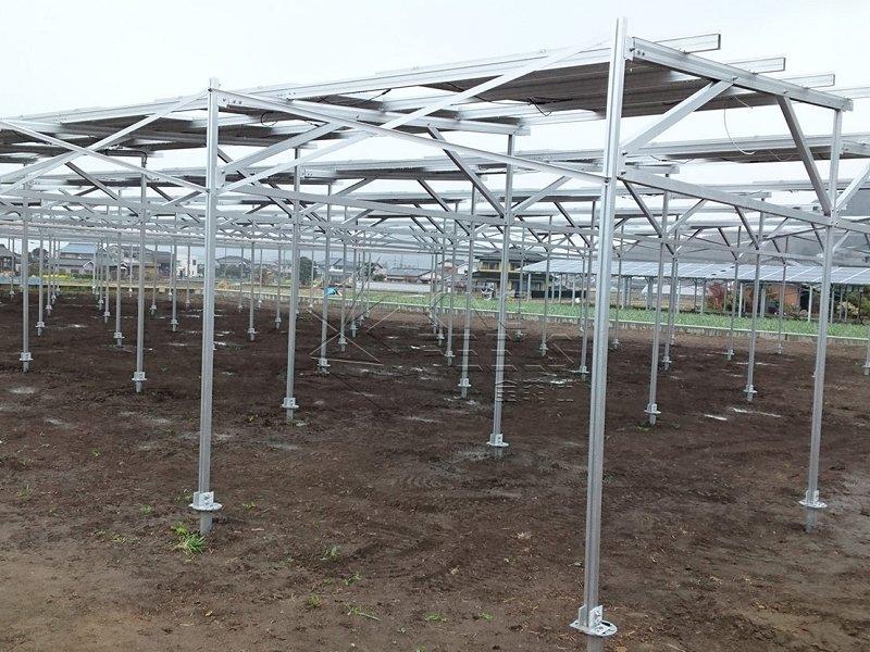 Energia Solar Agrícola